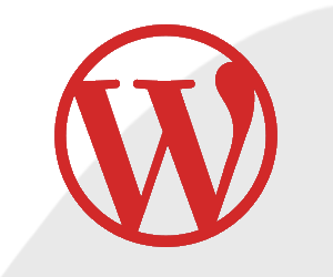 Customize Your WordPress Site